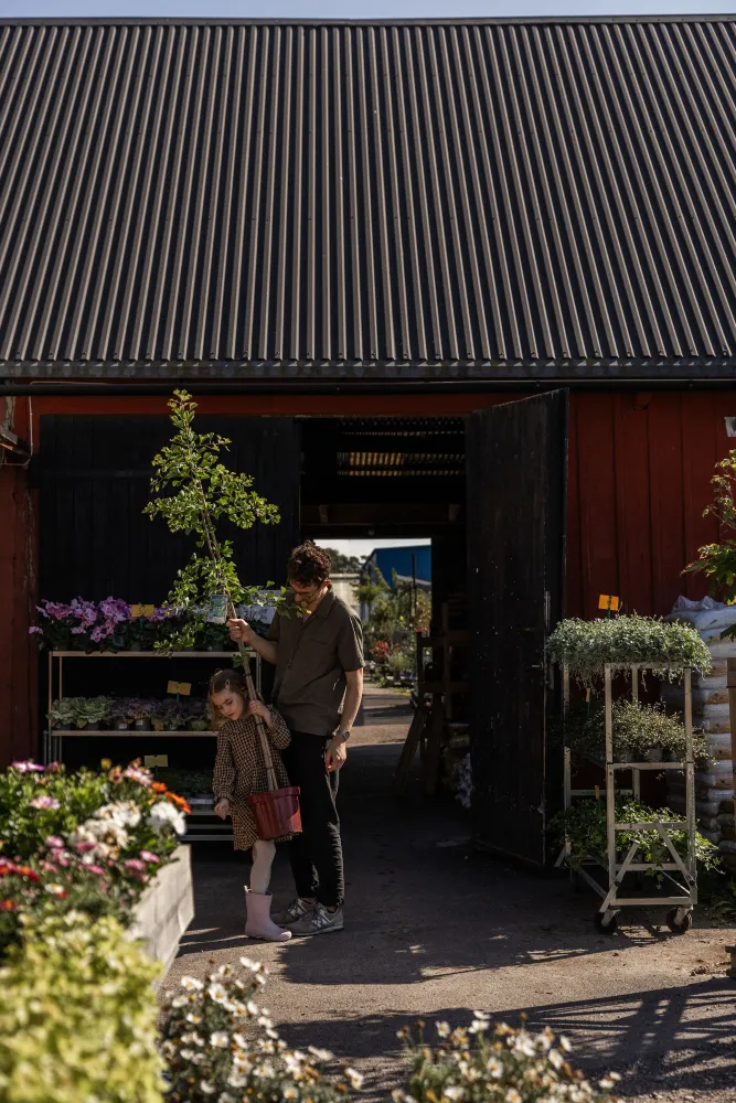 Lovisa Furubo - utflyktstips - Ölands plantskola