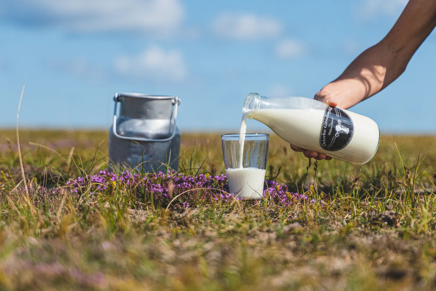 Mjölk hos Bondbönan på Öland