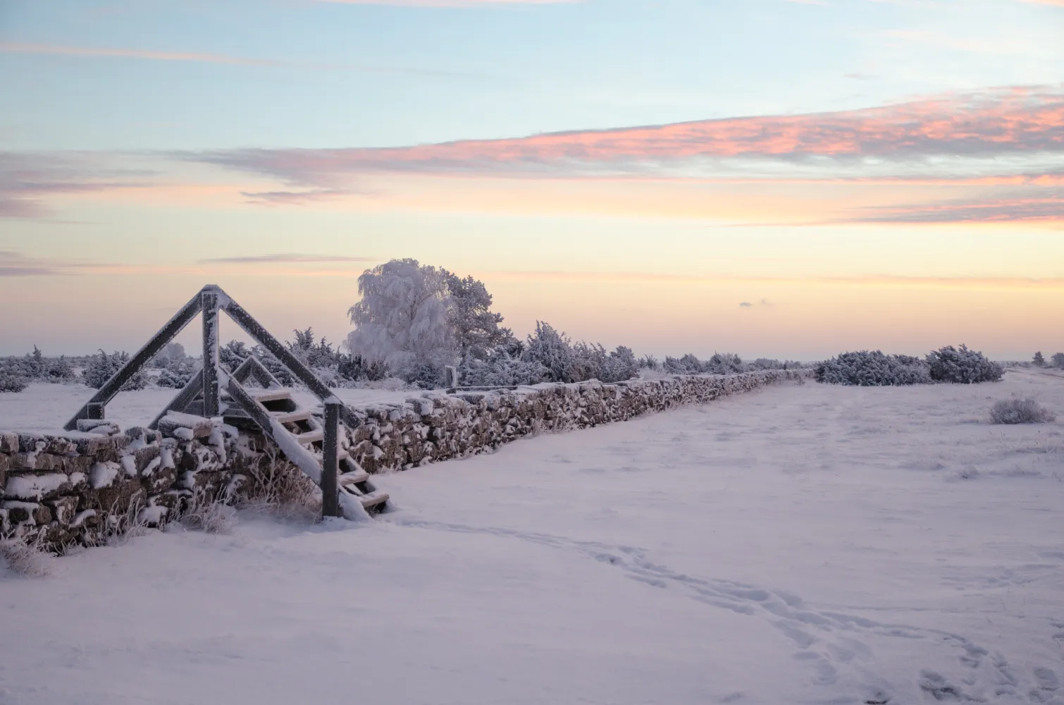 Stora alvaret i vinterskrud