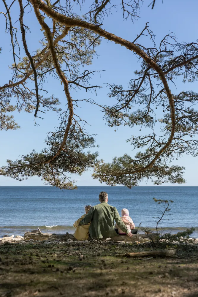 Helena Elm - Utflykt - Trollskogen