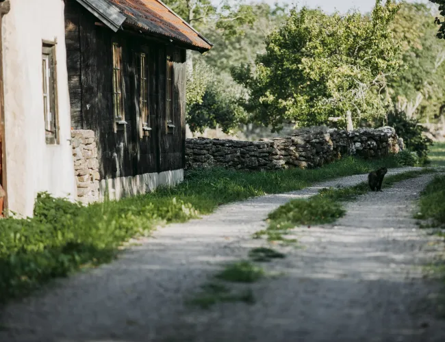 Grusväg på Öland