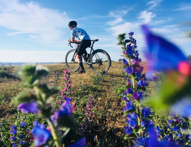 Cykel vid Horns kustväg