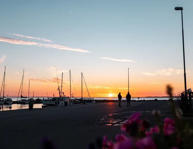 Stora Rör - sommarsolnedgång