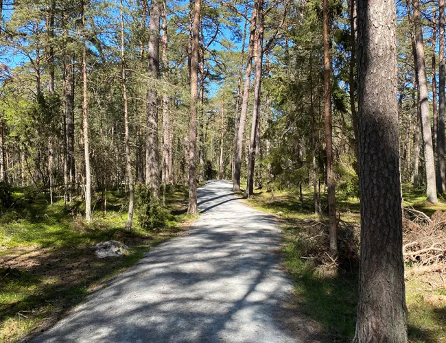 trollskogestigen