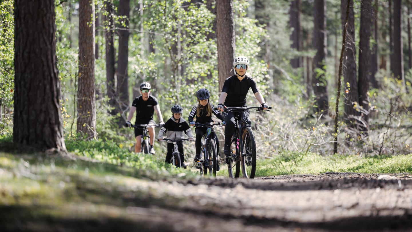 Mountainbikes i Rällaskogen - Cykla på Öland