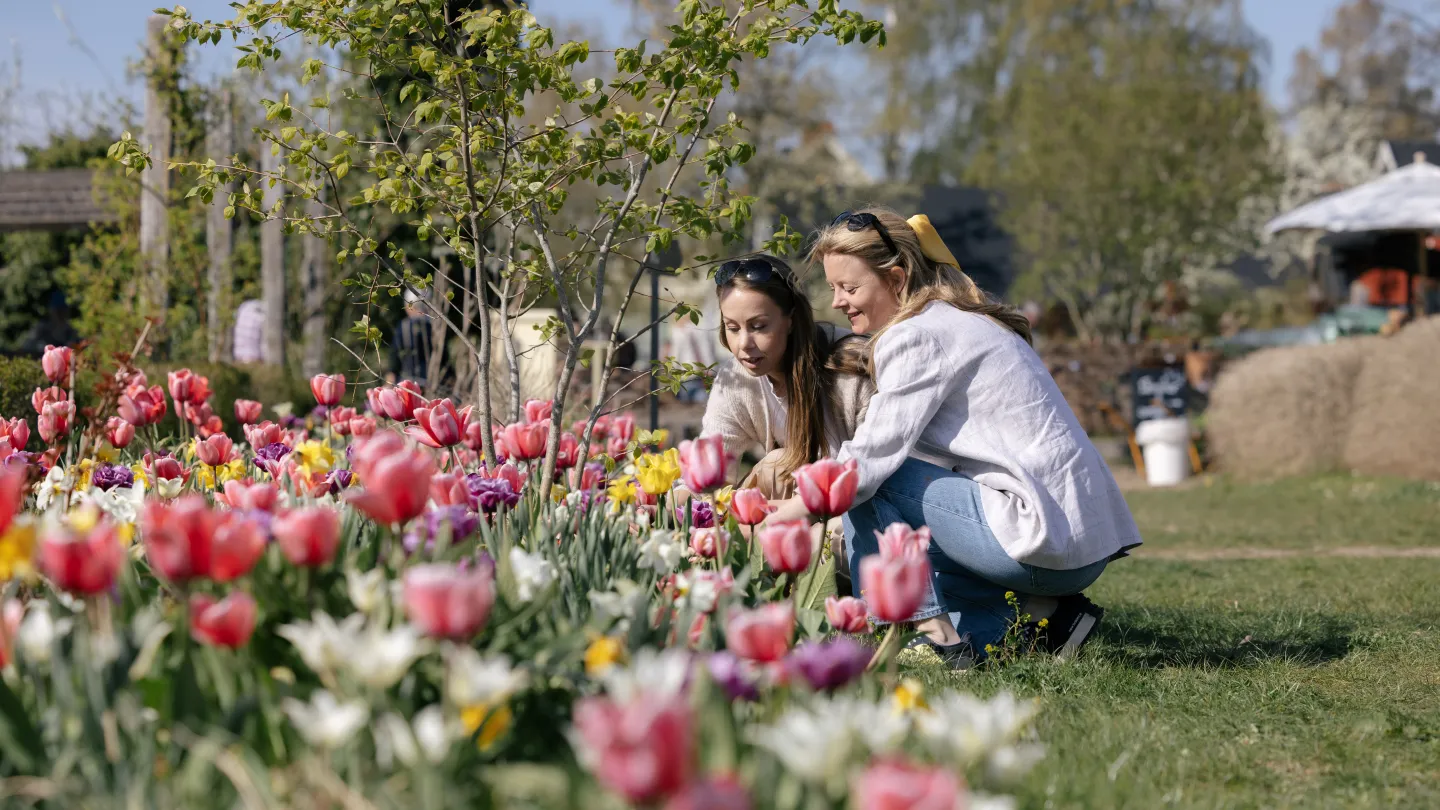 Vår på Capellagården