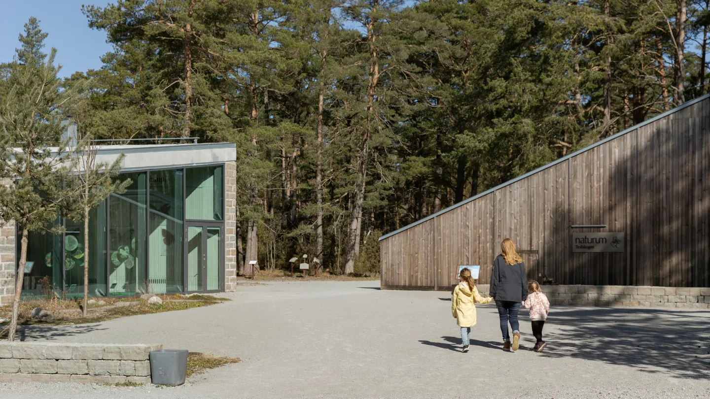 Helena Elm - Utflykt - Trollskogen