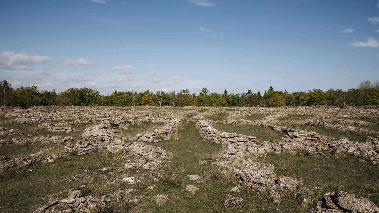 Ismantorps borg, Mittlandsskogen