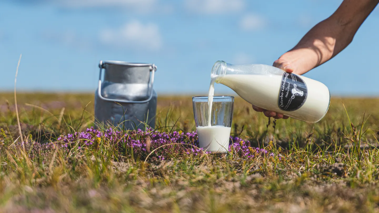 Mjölk hos Bondbönan på Öland