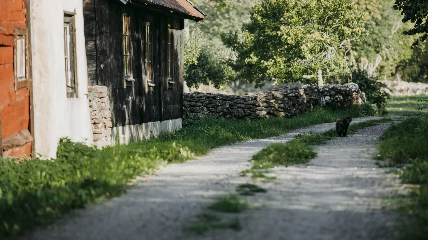 Grusväg på Öland