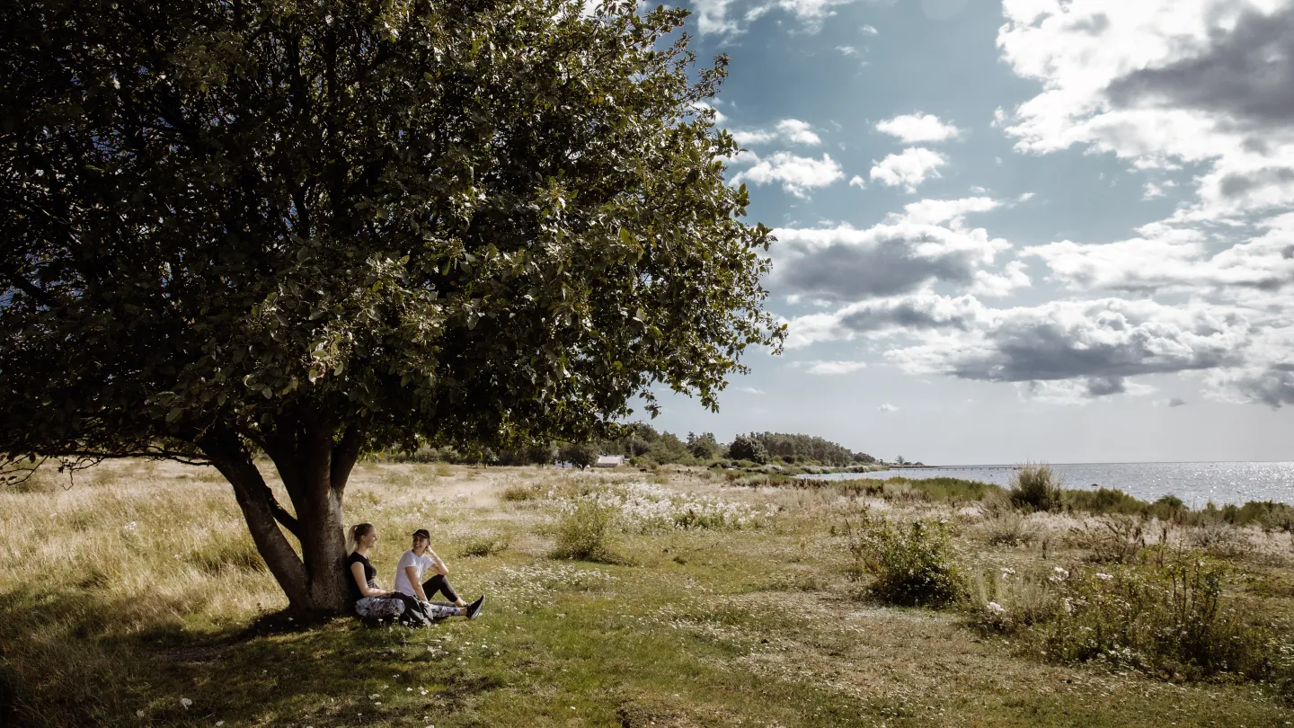 Vandra Mörbylångaleden