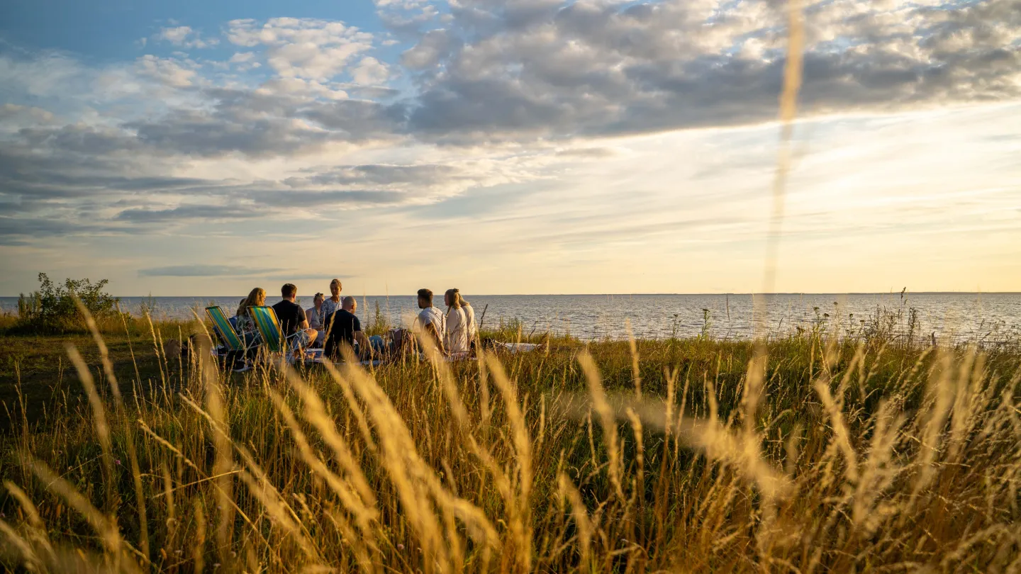 Picknick i Sandbergen