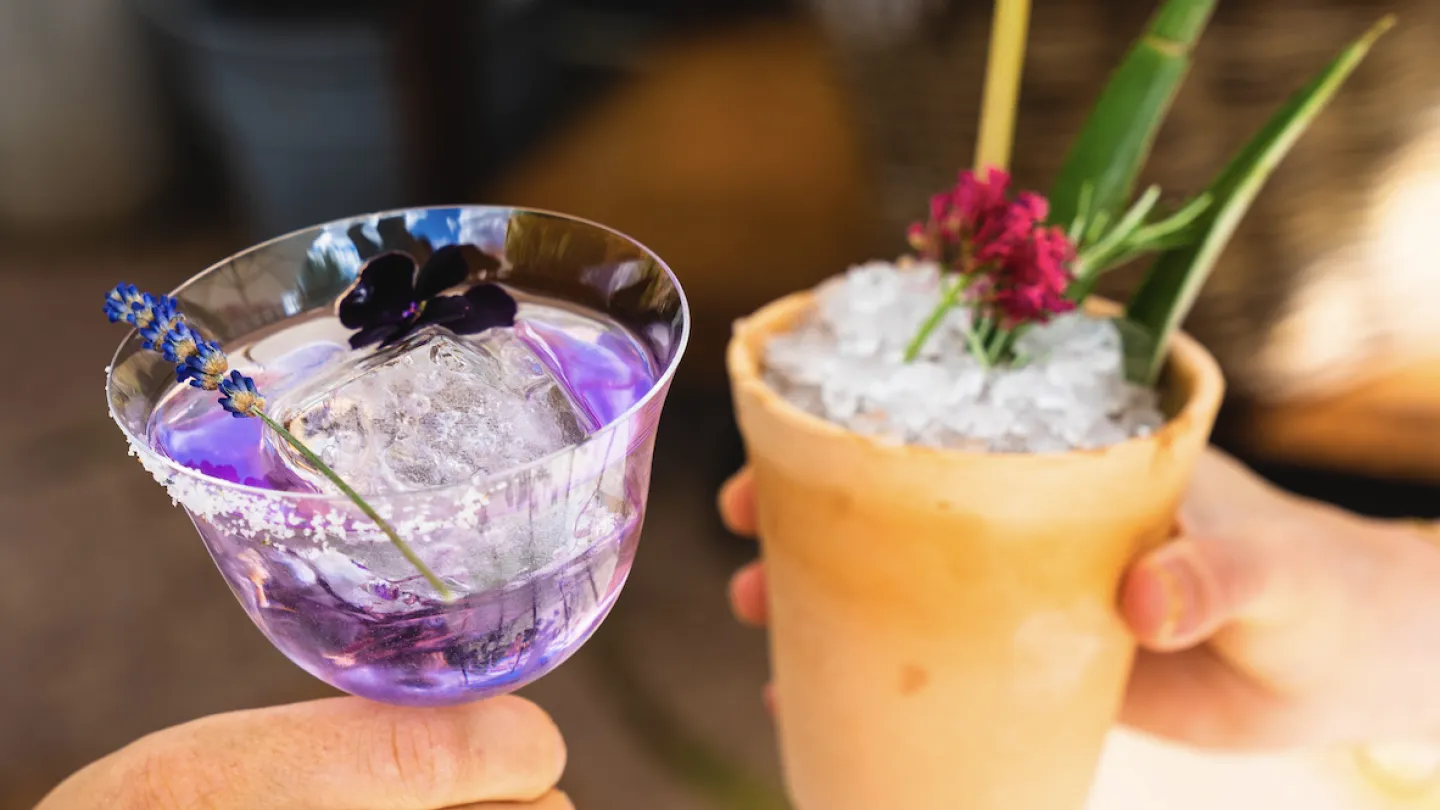 Sommardrink och snacks på Hotell Borgholm