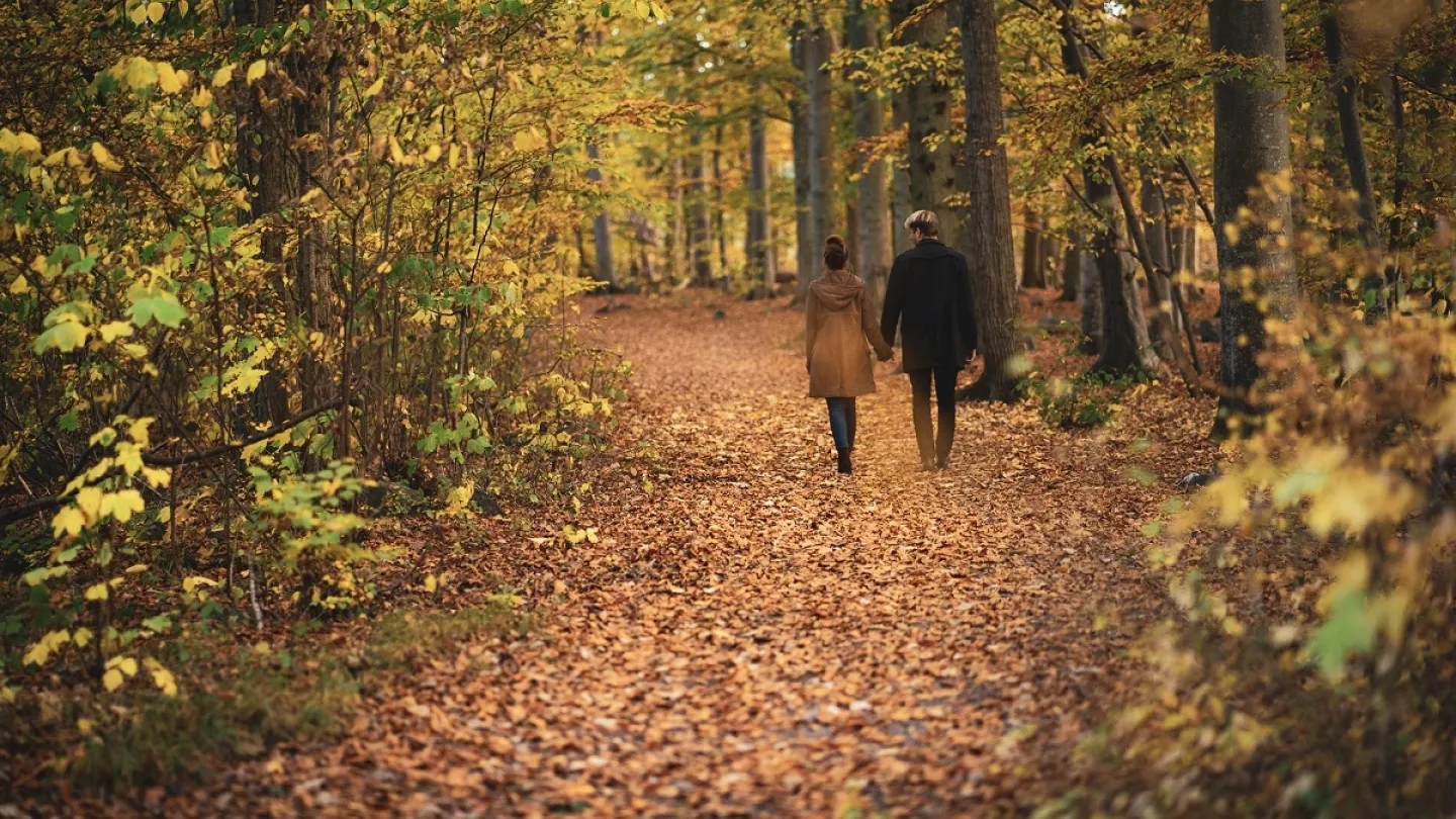 Slottsskogen i Borgholm på Öland