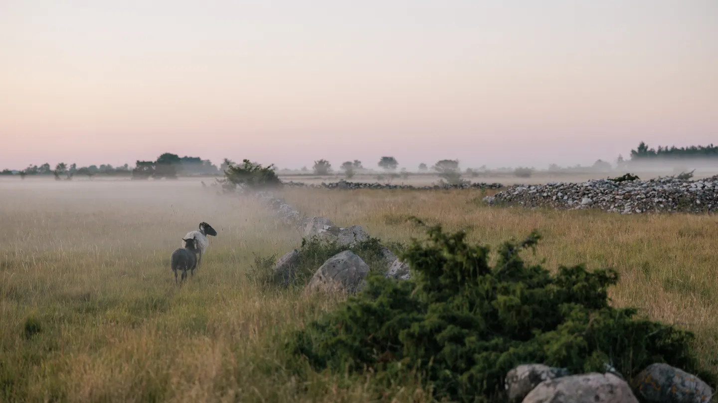 Seby - södra Öland