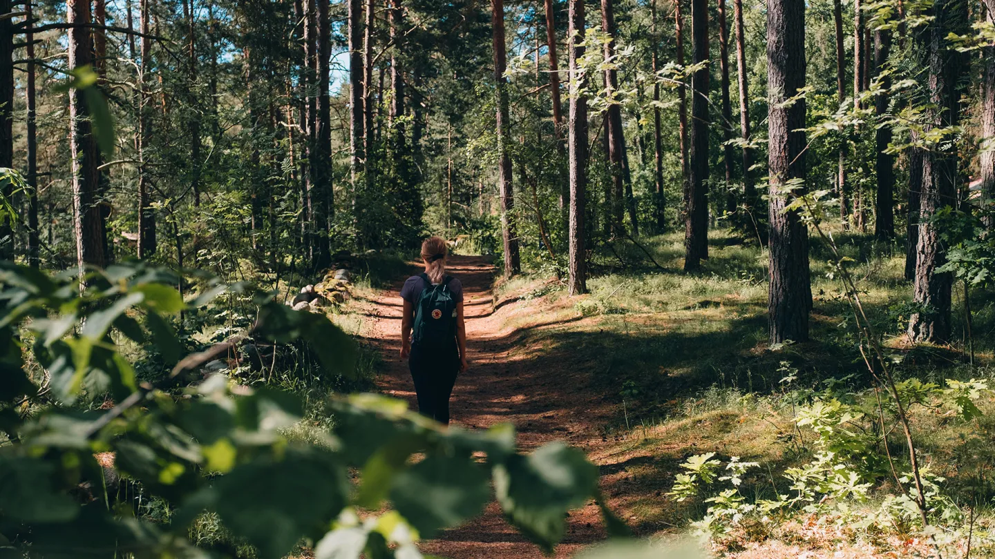 Rällaskogen - vandra