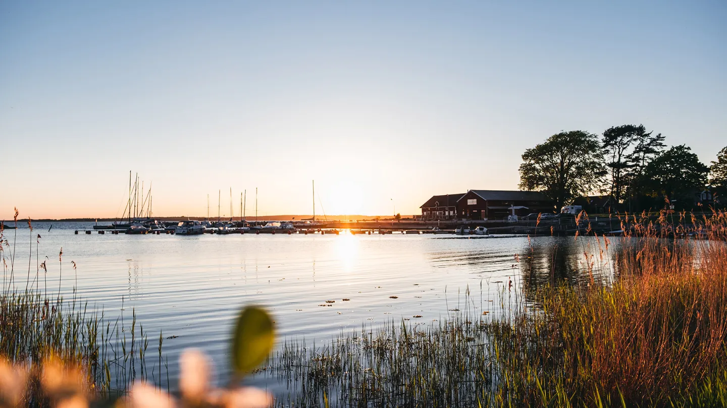 Störa Rör i solnedgång